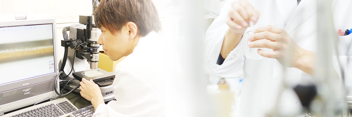 研究開発の様子